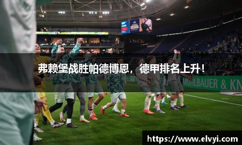 弗赖堡战胜帕德博恩，德甲排名上升！