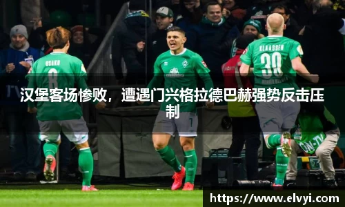 乐鱼电竞官网