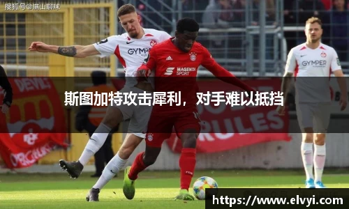 乐鱼电竞官网