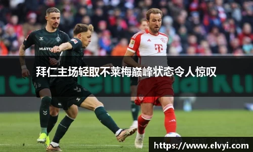 乐鱼电竞