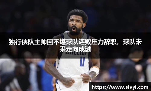 乐鱼电竞网址