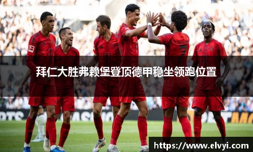 乐鱼电竞官网