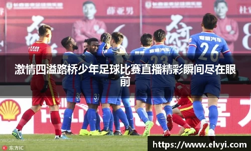 乐鱼电竞官网