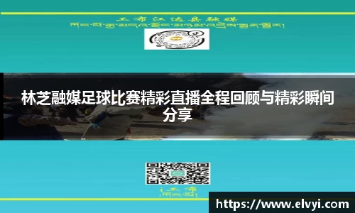 乐鱼电竞APP