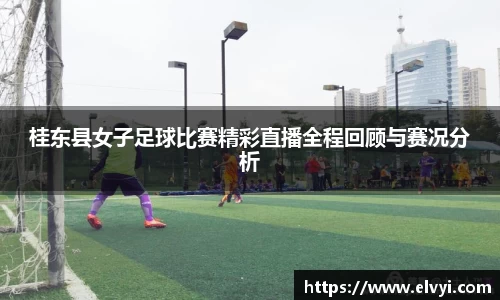 乐鱼电竞