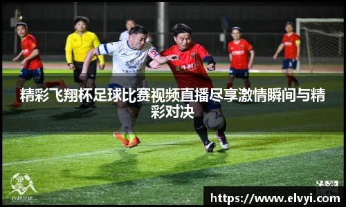乐鱼电竞